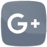 Google+